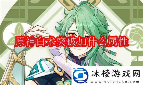 白术突破加什么属性：攻略教你合理利用