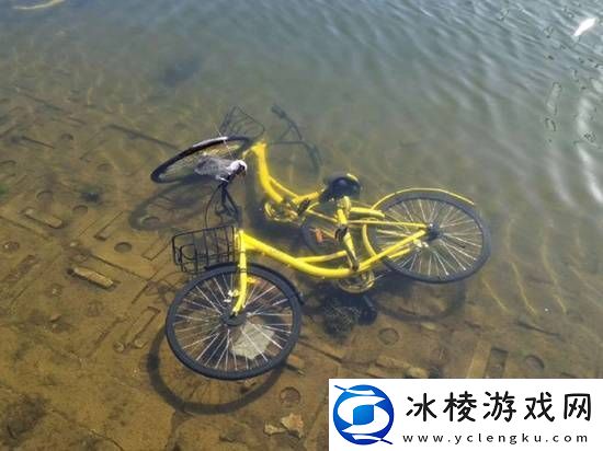 共享单车被丢河里每月可捞数百辆-捞一辆需要6个人