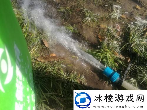 被系统浇灌的日常：在智能时代的生活新篇