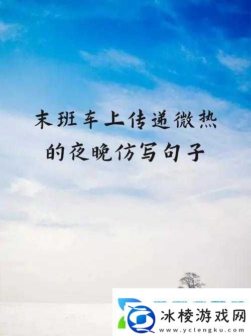 末班车上的温暖夜晚：在夜色中传递微热的感动