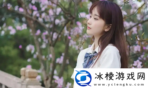 大BBBBBB老人的爱情与财运揭秘：晚年的幸福从何而来