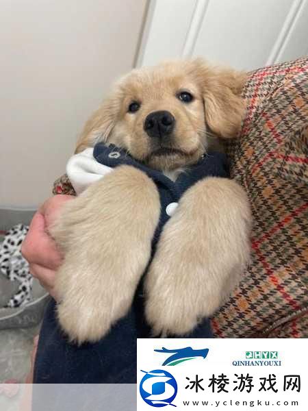 宝宝下面都湿透了还嘴硬疼咋回事