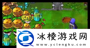植物大战僵尸杂交版挑战模式33通关攻略