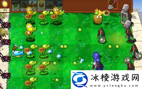 植物大战僵尸杂交版攻略大全