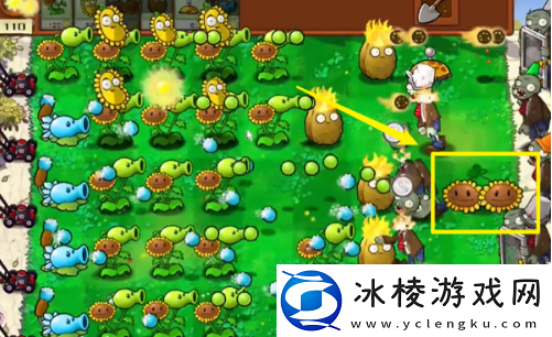 植物大战僵尸杂交版攻略大全