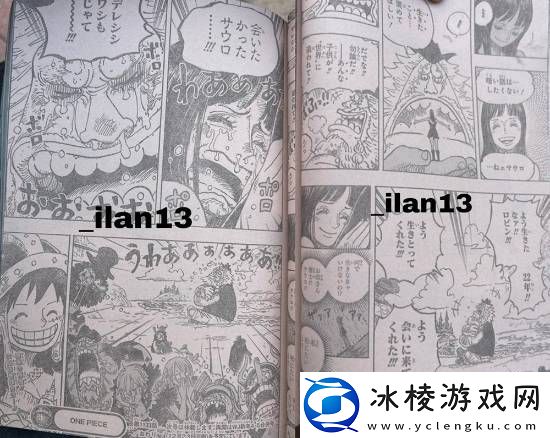 海贼王1133话情报