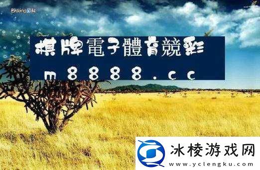 欧亚尺码专线欧洲B1B1的服务：提供最优质高效便捷体验