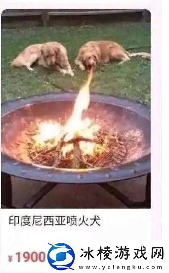 网络用语整点阳间的东西是什么梗