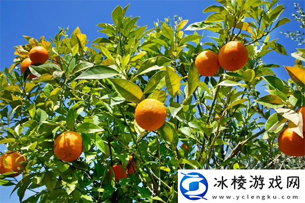 2025海龟汤题目和答案全套