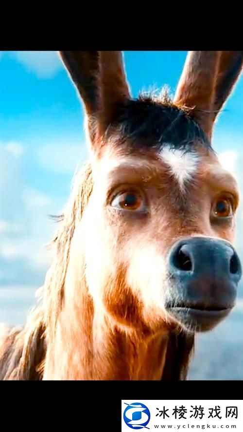 探索“小毛驴影视在线观看”：线上观影新体验柯林