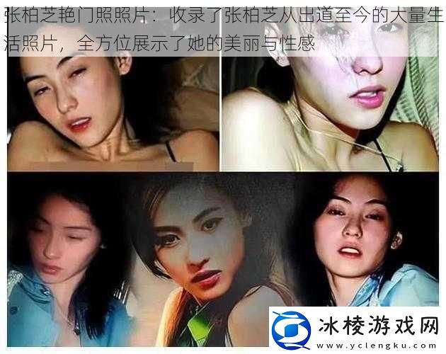 张柏芝艳门照照片：收录了张柏芝从出道至今的大量生活照片全方位展示了她的美丽与性感