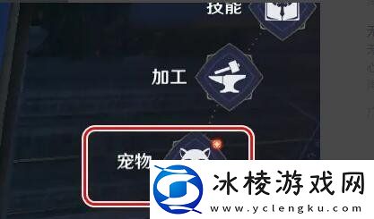 无神之界怎么放生宠物