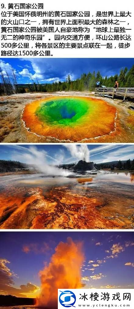 无人公园的狂野内存有多大-探索人类内心的原始呼唤