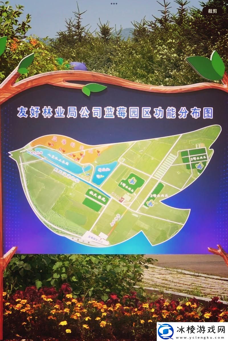 探索自然的奇迹：走进伊春园2023入口