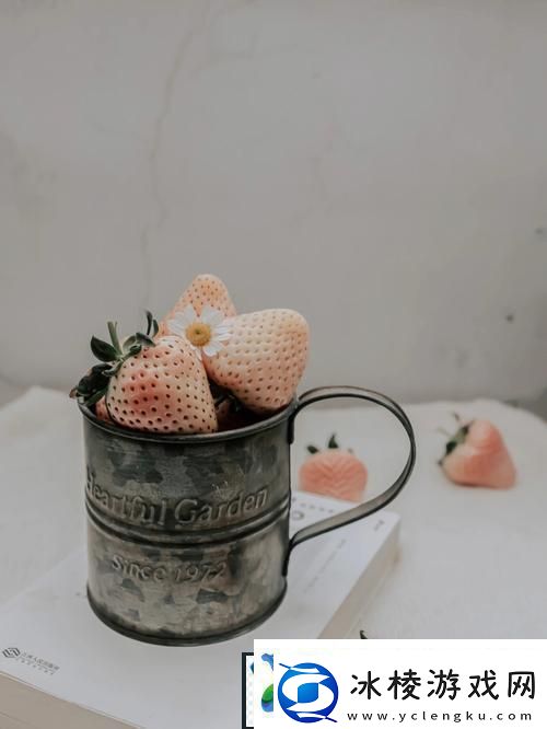 草莓樱桃水蜜桃：夏日水果的甜蜜盛宴