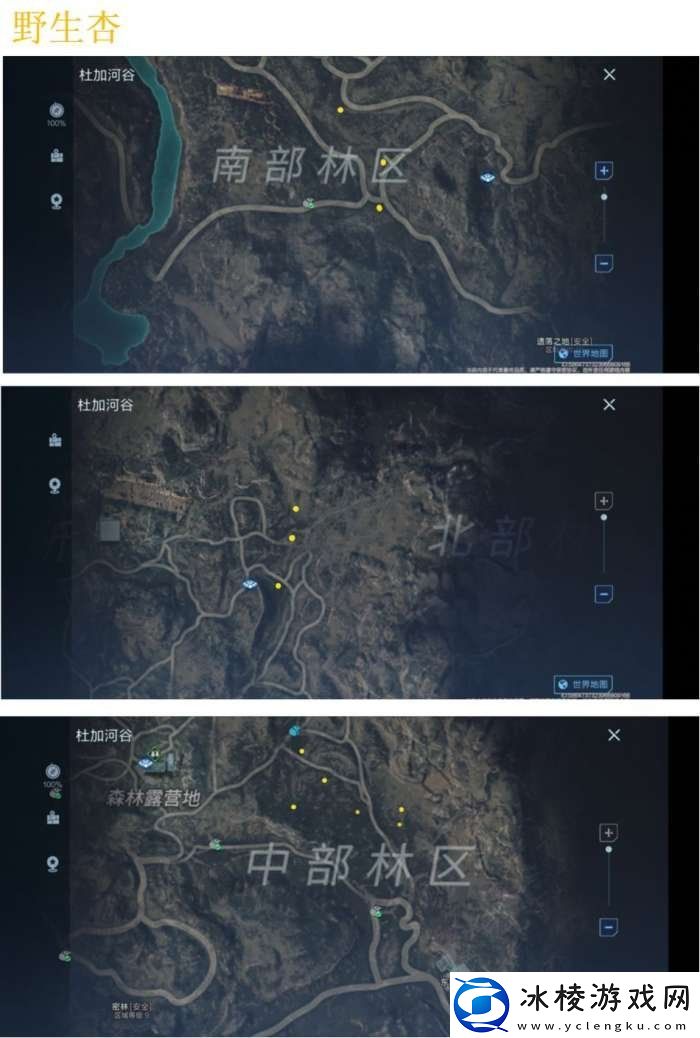 代号降临野生杏在哪里采集