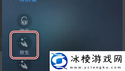 无神之界怎么放生宠物