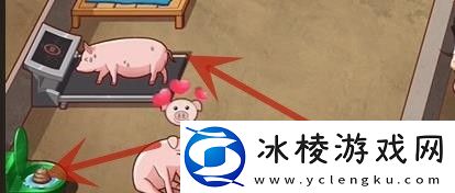 超级达人美梦猪圈怎么过