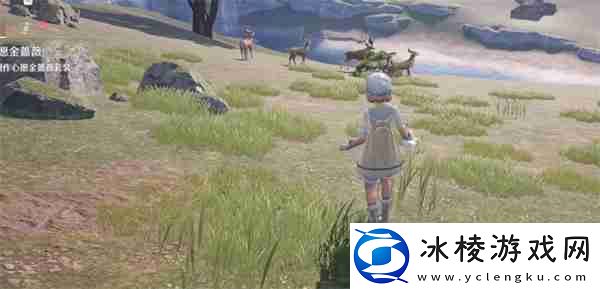 无限暖暖花环毛团怎么获得