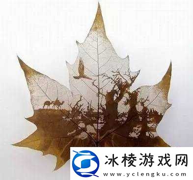 无码麻酥酥：带你领略别样的视觉盛宴