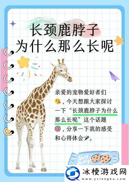 色色色乄乄乄e-关于它的详细分析与深入探讨