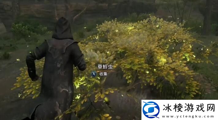 霍格沃兹之遗全材料表汇总一览