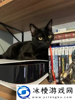 猫猫趴在PS5上不愿离开!玩家