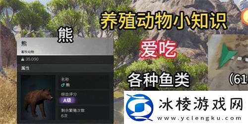 七日世界养什么动物好七日世界动物养殖推荐