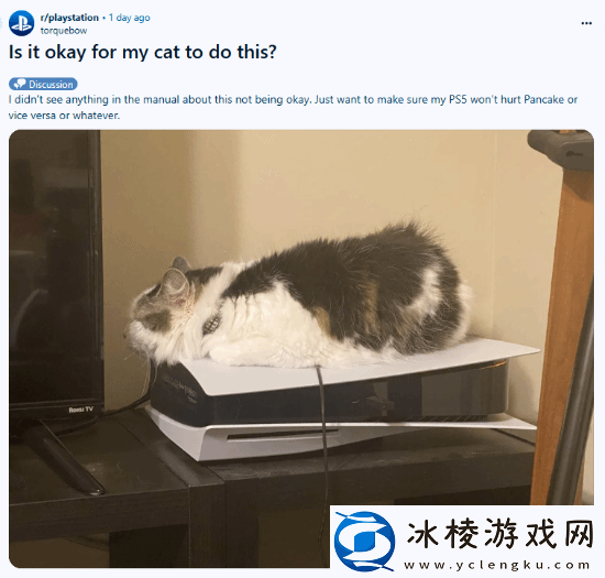 猫猫趴在PS5上不愿离开！玩家：会对彼此造成伤害吗