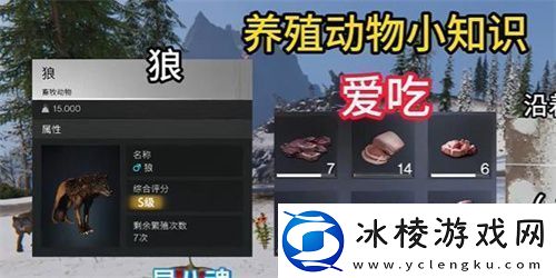 七日世界养什么动物好七日世界动物养殖推荐