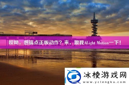 哎呦想搞点正版动作来跟我ALightMotion一下！