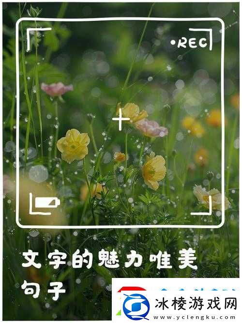 最好好看的中文字幕：带你领略文字的魅力与艺术