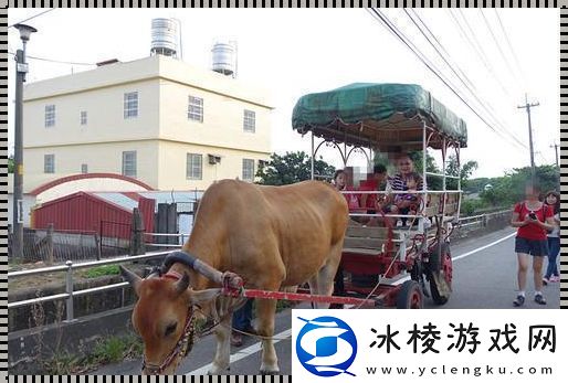 &amp;amp;amp;quot;牛车狂想曲：科技版的台湾&amp;amp;amp;#039;疯&amp;amp;amp;#039;情&amp;amp;amp;quot;