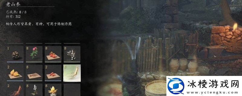 黑神话：悟空老山参种子获得视频