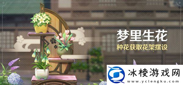 原神梦里生花活动怎么种花-梦里生花活动种花流程介绍攻略