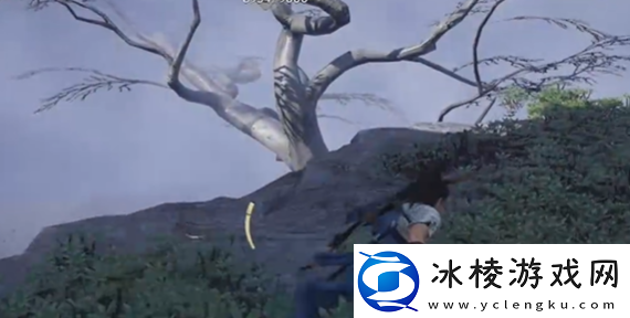 燕云十六声菩提苦海宝箱在哪