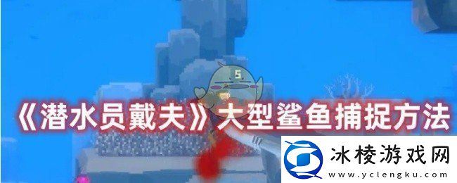 潜水员戴夫怎么捕捉大型鲨鱼-大型鲨鱼捕捉方法