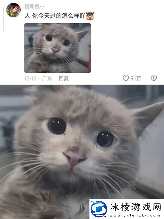 不懂小肚子的有难了