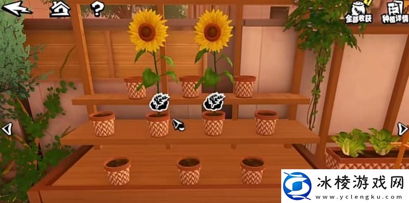 女神异闻录夜幕魅影家园玩法介绍