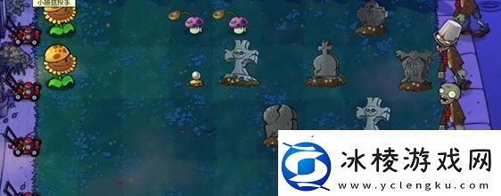 植物大战僵尸杂交版前院告急第9关怎么通关