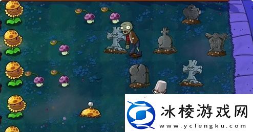 植物大战僵尸杂交版前院告急第9关怎么通关