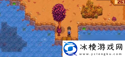 星露谷物语姜岛宝石鸟摆放顺序攻略