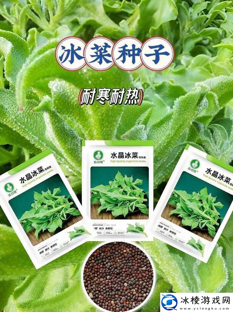 芭乐丝瓜黄瓜绿榴莲最新版：探索新奇果蔬的奇妙之旅