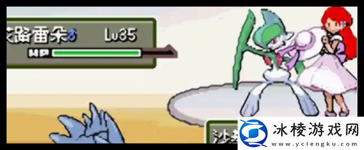 口袋妖怪无界功能性NPC在哪出现