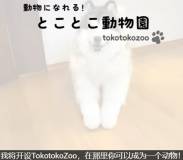 当了两年“狗”的日本人