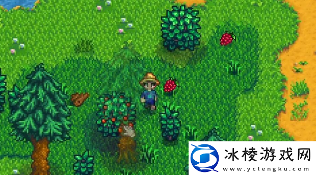 星露谷物语美洲大树莓怎么获得