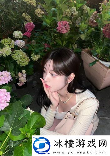 探索韩国理论大全-友：深入了解背后的丰富内涵！