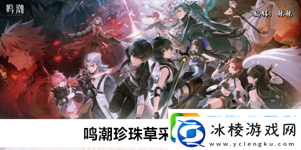 鸣潮珍珠草采集路线