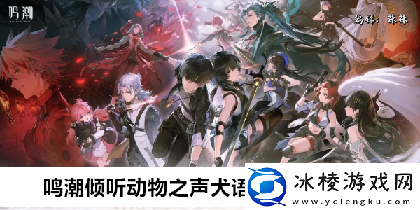鸣潮倾听动物之声犬语翻译任务攻略