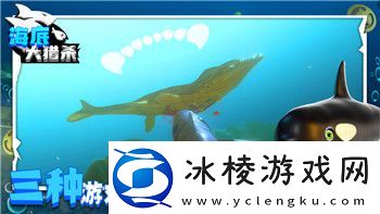 城堡破坏者最强角色介绍揭秘游戏中不可忽视的顶级角色与策略